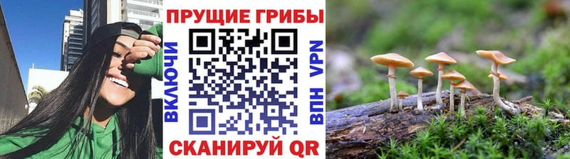 Галлюциногенные грибы Magic Shrooms  как найти   Кирсанов 